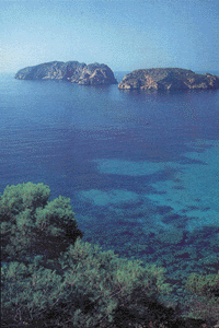 Islas Medas, LEstartit